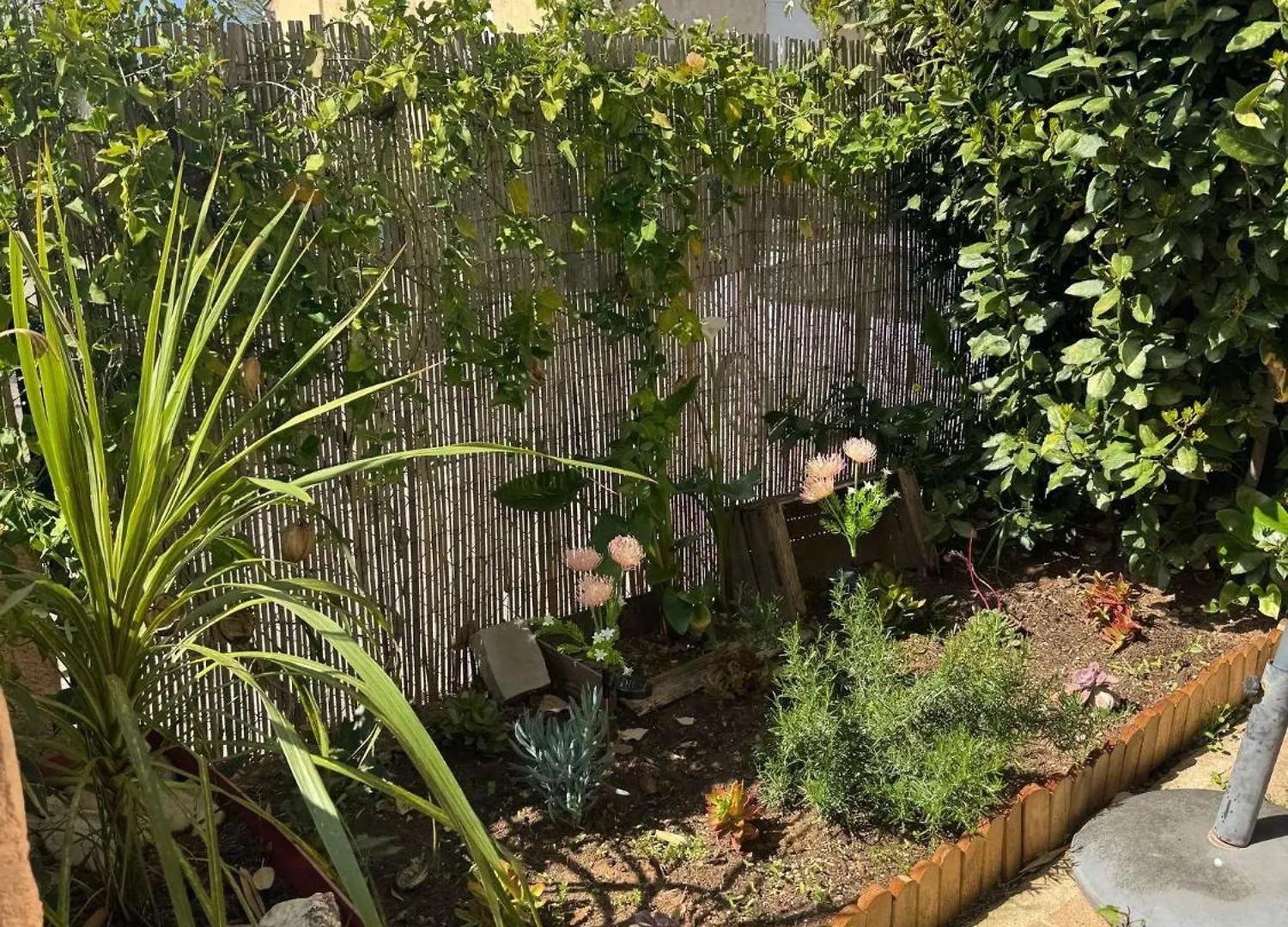Appartement Entier 2 Chambres De 2 A 6 Personnes Max Avec Jardin Et Plancha Six-Fours-les-Plages Διαμέρισμα